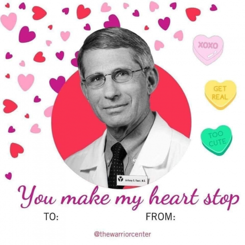 fauci valentine