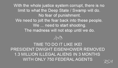 do like Ike 2