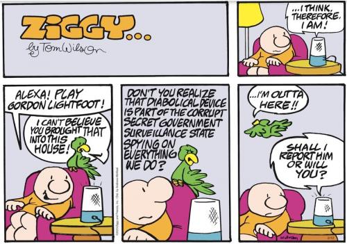 Screenshot 2023-02-12 at 06-44-39 Ziggy by Tom Wilson & Tom II for February 12 2023 GoComics