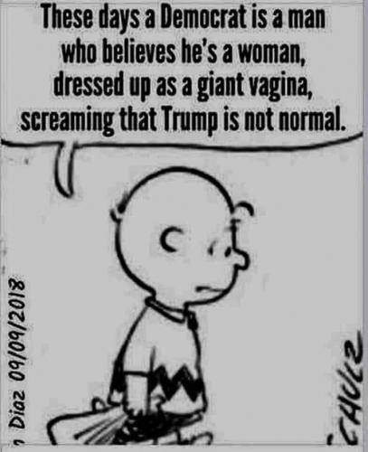 mentally normal