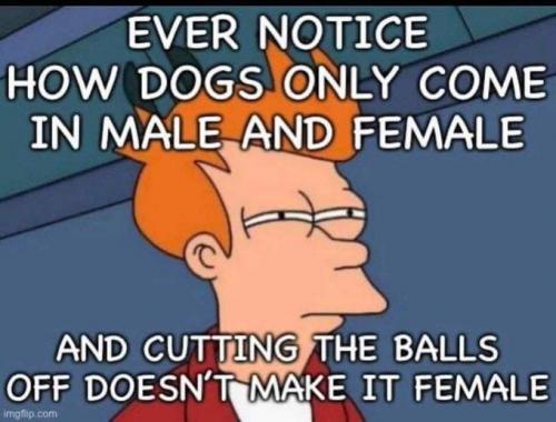 MaleFemale