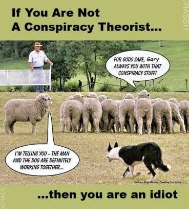 Conspiracy Theorist -- Reality