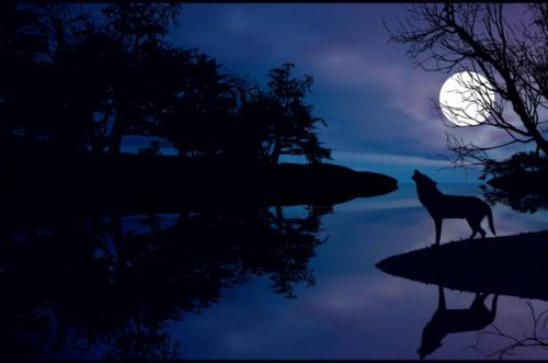 gettyimages-165741832-612x612