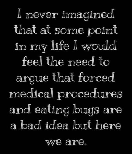 xephula_4279f9796fdd56a6217e5ad92ceb290f