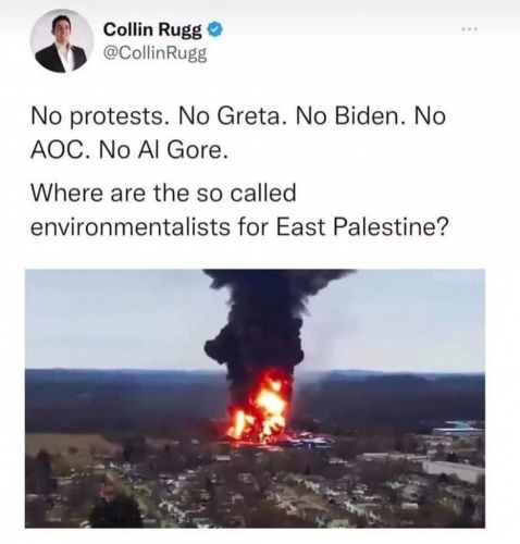 M environmentalists