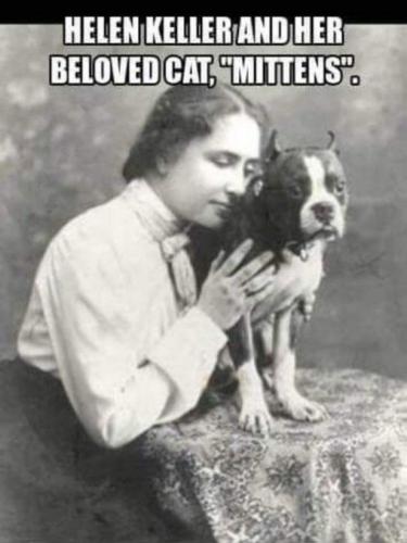 08524fbc-872a-4d12-8352-55e3077447c6