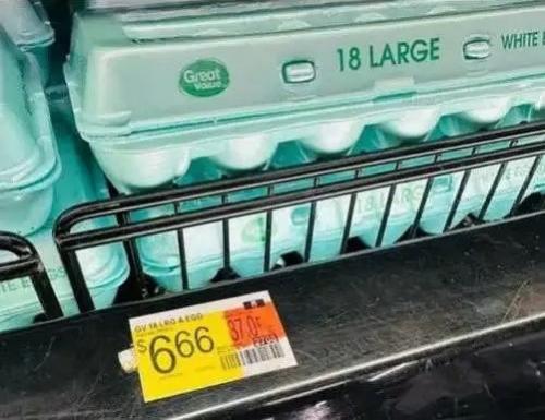 eggs1