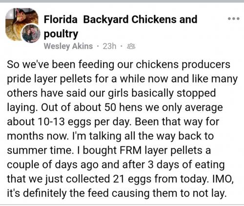 Screenshot_20230203_185139_Brave