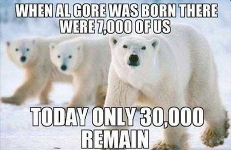 Gore