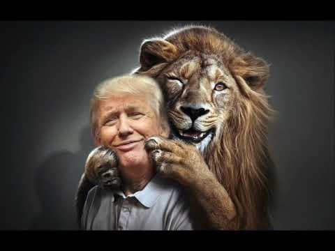=TRUMP AND LION