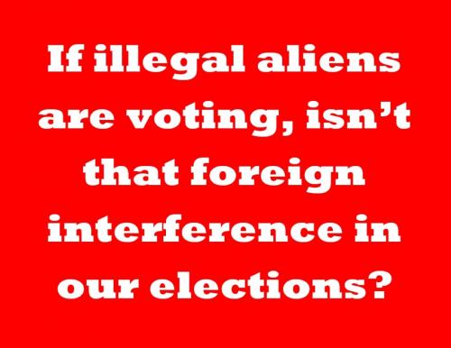 Illegal voting