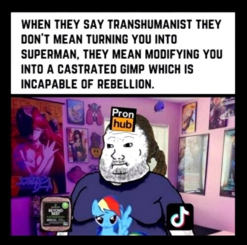 4f1e6386c0a1f94484f6763f173fd4bc_500x0