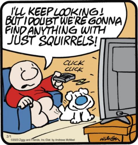 Screenshot 2023-02-01 at 07-11-15 Ziggy by Tom Wilson & Tom II for February 01 2023 GoComics