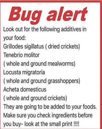 E40F1963-9825-41AC-B27D-E0E180BDF3FA