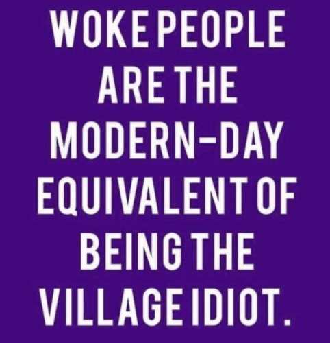 M Village Idiot