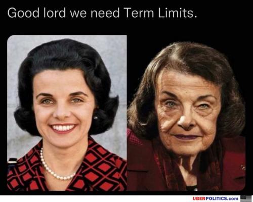term-limits-now