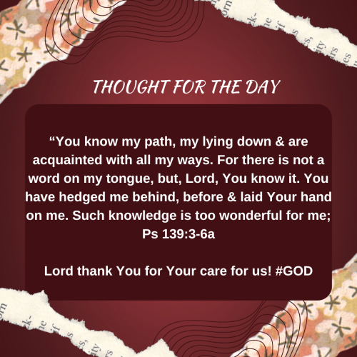 TWEET 2-6-23