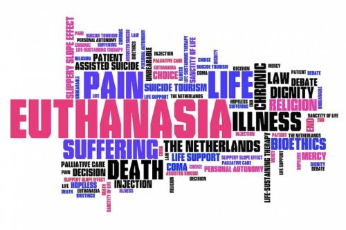 Euthanasia Canada 6 - effect