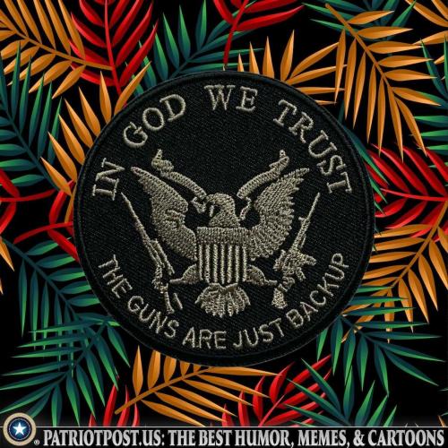 USA backup