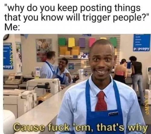 332691597_1870918479975136_943565192416542721_n