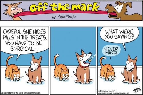 Screenshot 2023-02-19 at 07-06-15 Off the Mark by Mark Parisi for February 19 2023 GoComics
