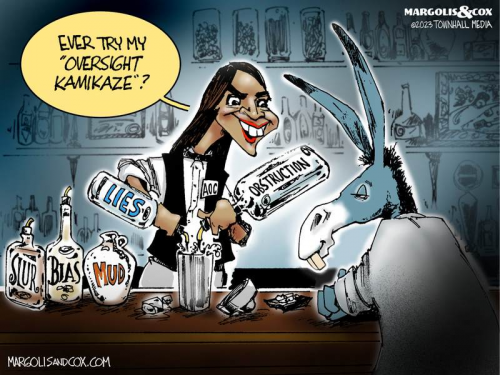Alexandria Ocasio-Cortez, Democrat, Bar -- Oversight Kamikaze