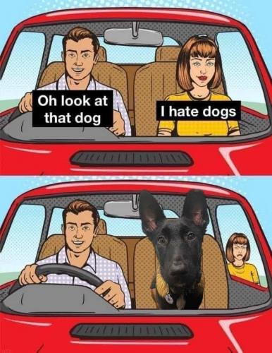 IMG_20230223_115627_130