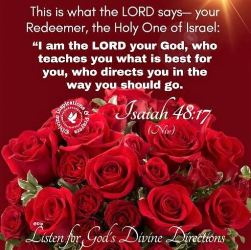 020323 - Isaiah 48-17