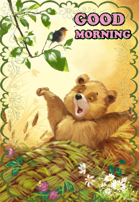 360084-Yawning-Morning-Bear