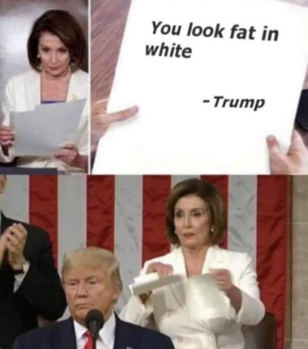 Pelosi Fat
