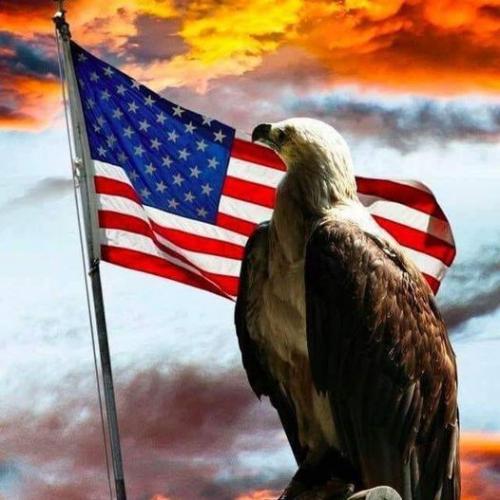 Flag & Eagle with Cloudy Sky