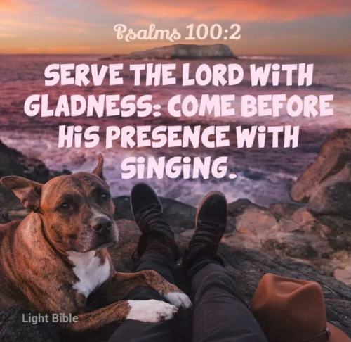 965AA2CB-5C38-40E1-A14C-082E782C495D