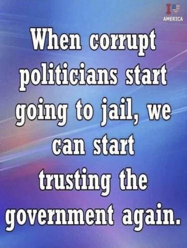 USA trust government