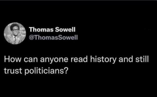 Thomas Sowell politicians