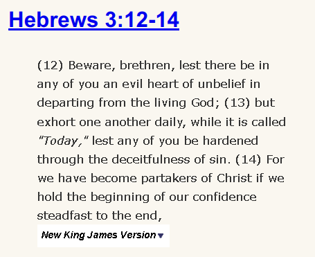 Hebrews 3:12-14