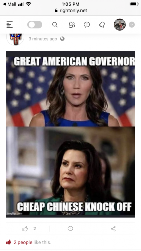 Kristi Noem (Governor SD) -- vs. Cheap CCP Knock off