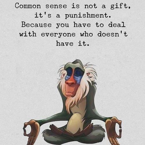 Common Sense -- Punishment (Yogi)
