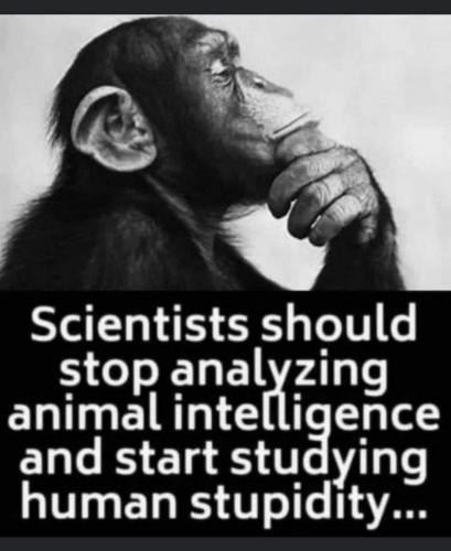 979147f3-f778-400d-9ceb-0b6cd9db00a4