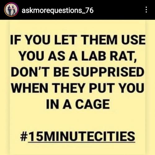 truth.matters7_329743814_1183262552555863_775878125905007084_n