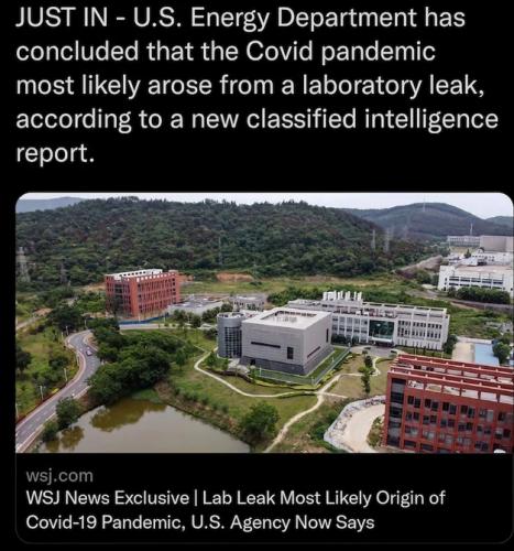 COVID LEAK 7