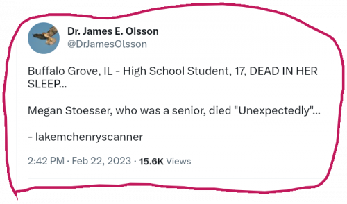 snapshot_mobile.twitter.com_1677118164624
