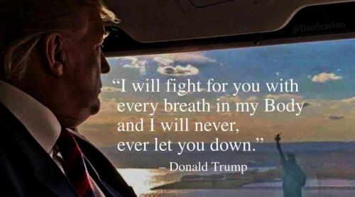 M Trump fight