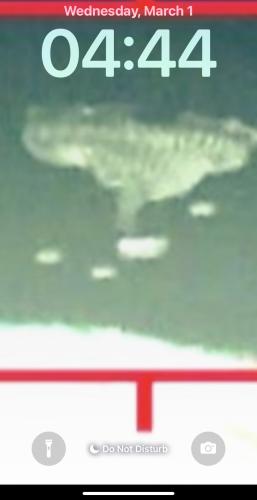 CAC28BD5-8EB3-4C23-AE45-F682589C8B4F