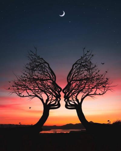 Trees at sunset - Kissing