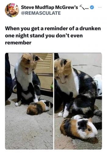 4EE38E06-9A5A-4397-AB16-7ED6BA4A6F88