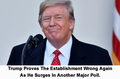 M Trump surges