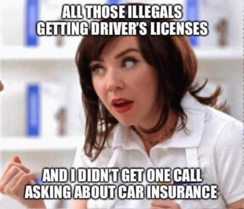 M illegals drivers licenses