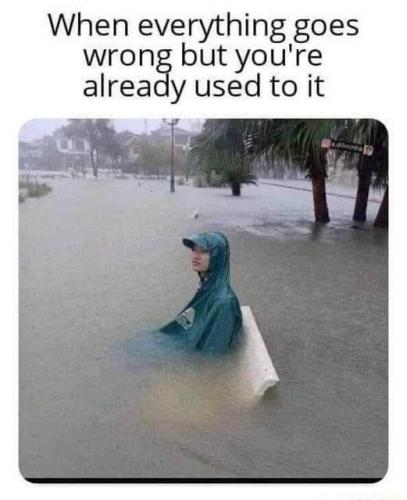 a+big+sitting+in+the+rain