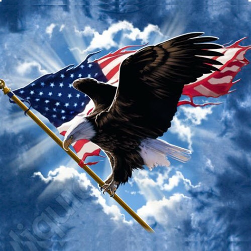 American-Flag-Eagle