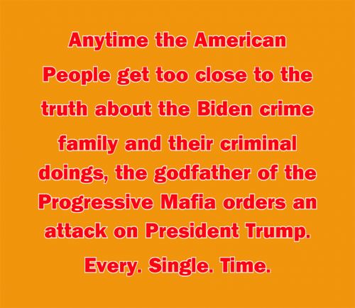 B Biden Crime Family